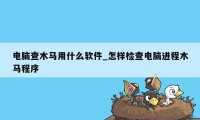 电脑查木马用什么软件_怎样检查电脑进程木马程序