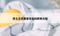 率土之滨黑客攻击的简单介绍