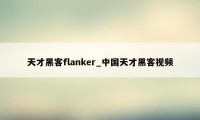 天才黑客flanker_中国天才黑客视频