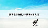 黑客程序教程_vb黑客技术入门