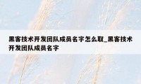 黑客技术开发团队成员名字怎么取_黑客技术开发团队成员名字