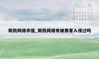 斯凯网络市值_斯凯网络有被黑客入侵过吗