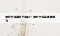 渗透测试漏洞手册pdf_渗透测试发现漏洞有