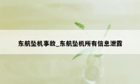 东航坠机事故_东航坠机所有信息泄露