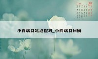 小西端口延迟检测_小西端口扫描