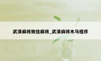 武清麻将微信麻将_武清麻将木马程序