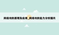 网络攻防原理及应用_网络攻防能力分析图片