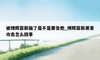 被博辉亚新骗了是不是要告他_博辉亚新黑客攻击怎么回事