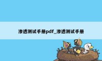 渗透测试手册pdf_渗透测试手册