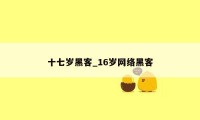 十七岁黑客_16岁网络黑客