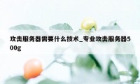 攻击服务器需要什么技术_专业攻击服务器500g