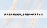 国内最大黑客论坛_中国最牛x的黑客论坛