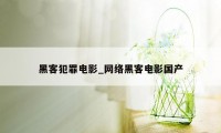 黑客犯罪电影_网络黑客电影国产