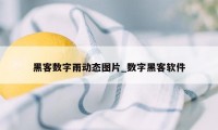 黑客数字雨动态图片_数字黑客软件