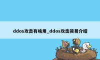 ddos攻击有啥用_ddos攻击简易介绍