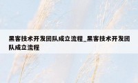 黑客技术开发团队成立流程_黑客技术开发团队成立流程