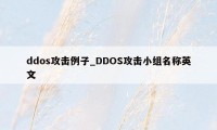 ddos攻击例子_DDOS攻击小组名称英文