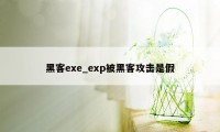 黑客exe_exp被黑客攻击是假