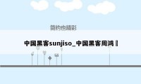 中国黑客sunjiso_中国黑客周鸿祎