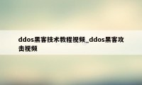 ddos黑客技术教程视频_ddos黑客攻击视频
