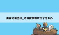 黑客动漫壁纸_动漫被黑客攻击了怎么办