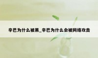 辛巴为什么被黑_辛巴为什么会被网络攻击