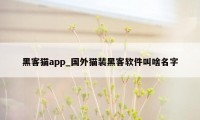 黑客猫app_国外猫装黑客软件叫啥名字