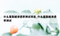 什么是裂缝渗透率测试项目_什么是裂缝渗透率测试
