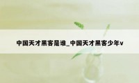 中国天才黑客是谁_中国天才黑客少年v